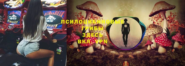ешки Алзамай