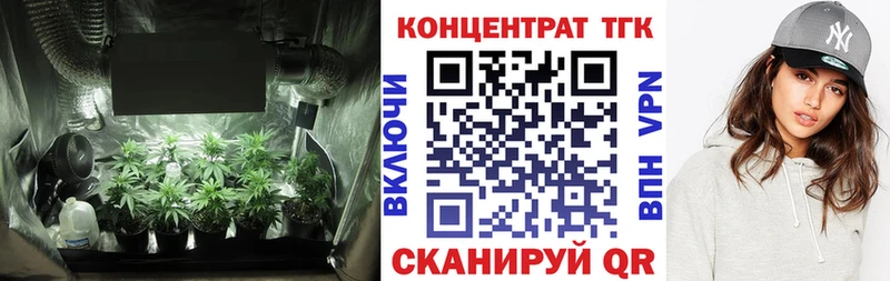 купить наркотики цена  Грязовец  ТГК концентрат 